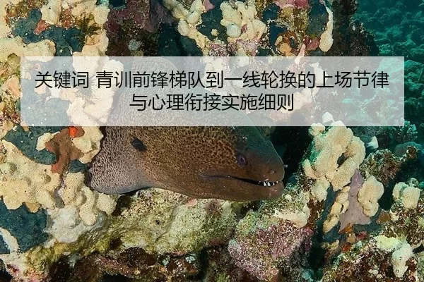 关键词 青训前锋梯队到一线轮换的上场节律与心理衔接实施细则
