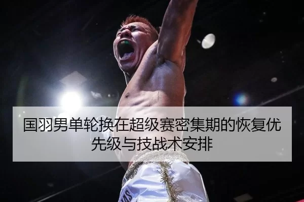 guo-yu-nan-dan-lun-huan-zai-chao-ji-sai-mi-ji-qi-de-hui-fu-you-xian-ji-yu-ji-zhan-shu-an-pai-2-250.jpg