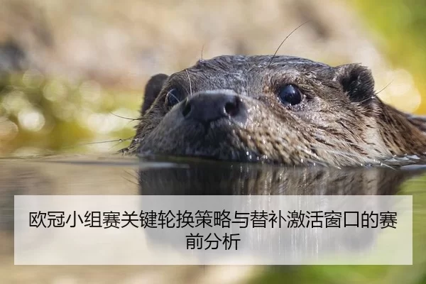 欧冠小组赛关键轮换策略与替补激活窗口的赛前分析